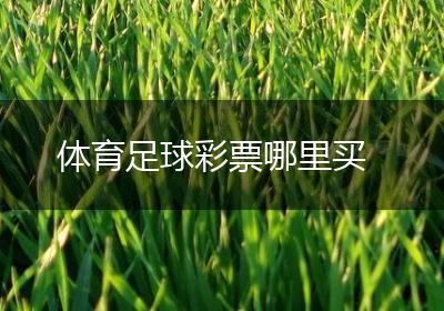 体育足球彩票哪里买