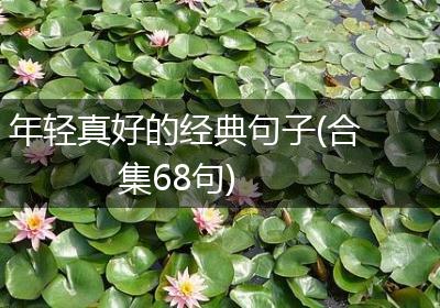 年轻真好的经典句子(合集68句)