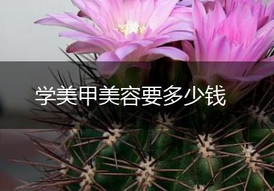 学美甲美容要多少钱