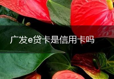 广发e贷卡是信用卡吗