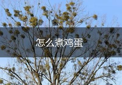 怎么煮鸡蛋