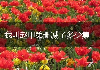 我叫赵甲第删减了多少集