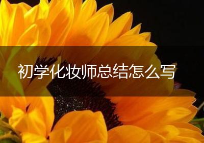 初学化妆师总结怎么写
