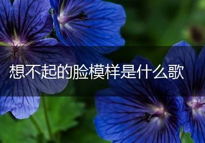 想不起的脸模样是什么歌