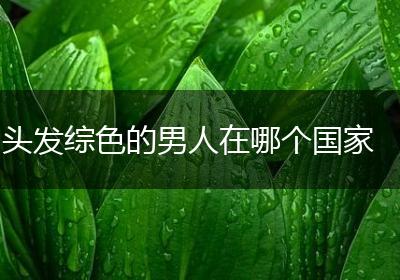 头发综色的男人在哪个国家