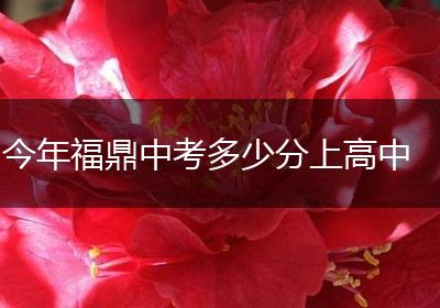 今年福鼎中考多少分上高中