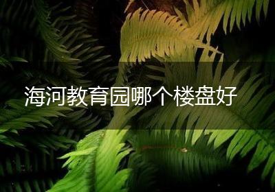 海河教育园哪个楼盘好