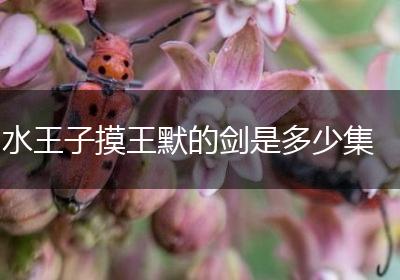 水王子摸王默的剑是多少集
