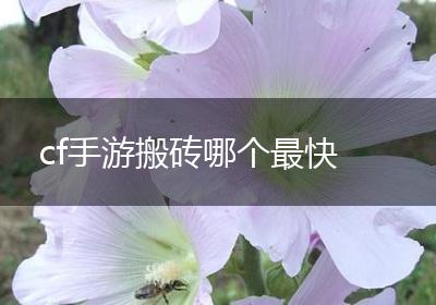 cf手游搬砖哪个最快