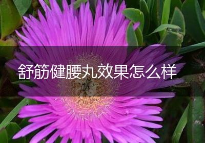 舒筋健腰丸效果怎么样