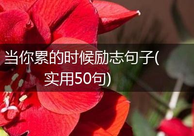当你累的时候励志句子(实用50句)