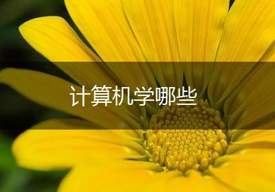 计算机学哪些