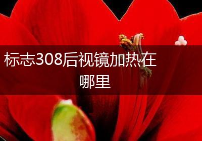 标志308后视镜加热在哪里