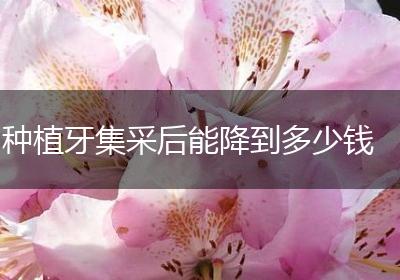 种植牙集采后能降到多少钱