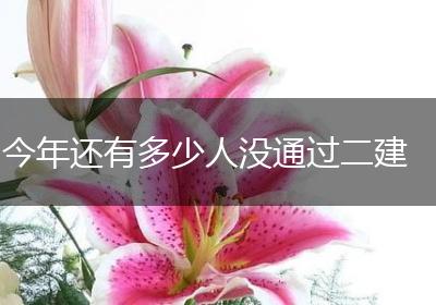 今年还有多少人没通过二建