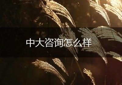 中大咨询怎么样