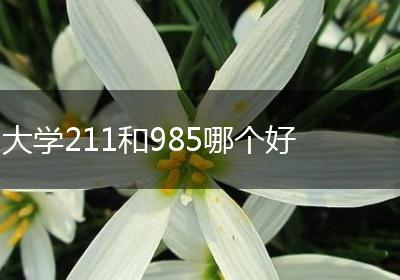 大学211和985哪个好