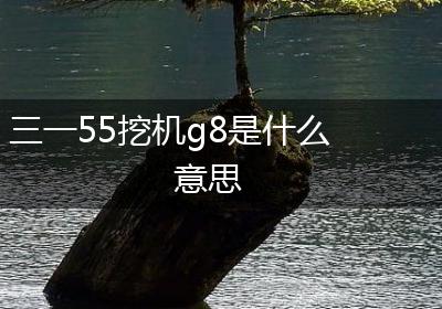 三一55挖机g8是什么意思