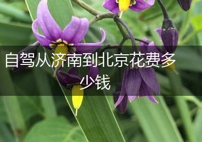 自驾从济南到北京花费多少钱