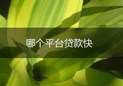 哪个平台贷款快