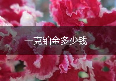 一克铂金多少钱
