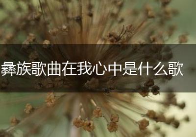 彝族歌曲在我心中是什么歌