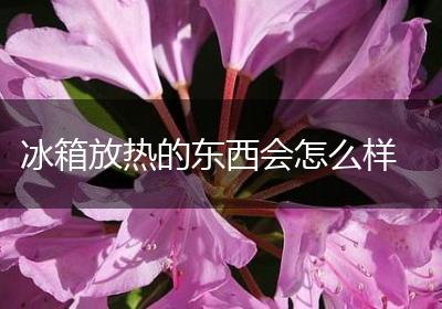 冰箱放热的东西会怎么样