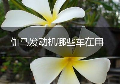 伽马发动机哪些车在用