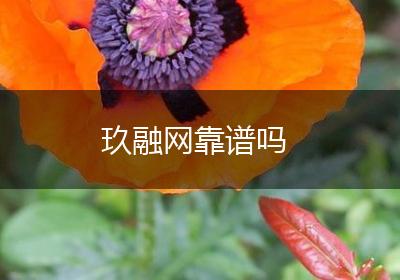 玖融网靠谱吗