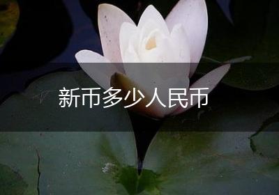 新币多少人民币