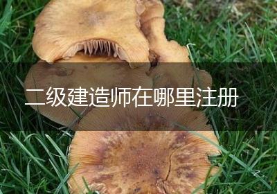 二级建造师在哪里注册