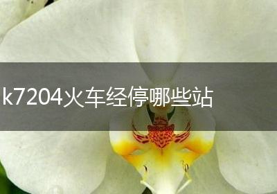 k7204火车经停哪些站