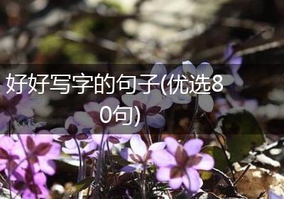好好写字的句子(优选80句)