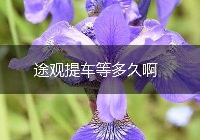 途观提车等多久啊
