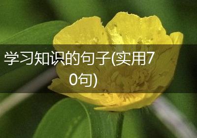 学习知识的句子(实用70句)