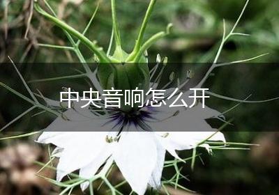 中央音响怎么开