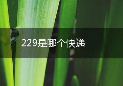 229是哪个快递