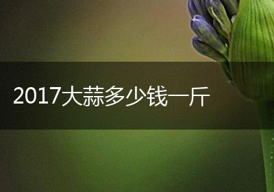 2017大蒜多少钱一斤