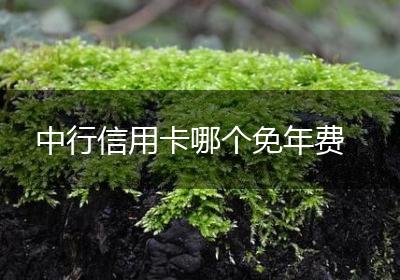 中行信用卡哪个免年费