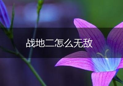战地二怎么无敌