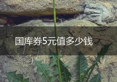 国库券5元值多少钱