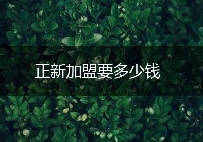 正新加盟要多少钱