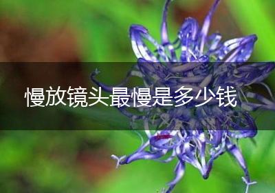 慢放镜头最慢是多少钱