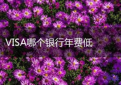 VISA哪个银行年费低