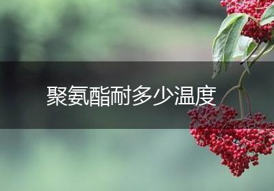 聚氨酯耐多少温度