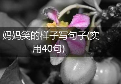 妈妈笑的样子写句子(实用40句)