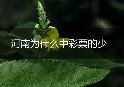 河南为什么中彩票的少