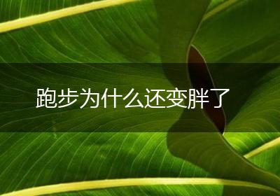 跑步为什么还变胖了