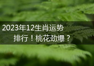 2023年12生肖运势排行！桃花劲爆？