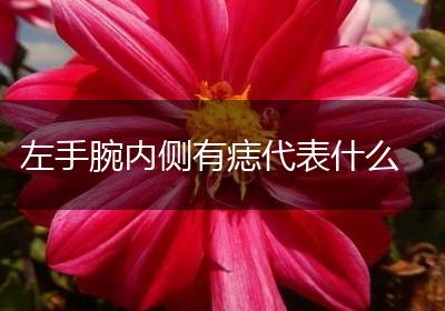 左手腕内侧有痣代表什么